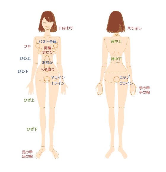 脱毛 parts